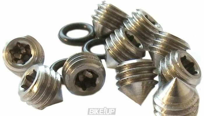 Сервисные запчасти SET SCREW/ORING (BANJO BOLT BLEED) QTY20